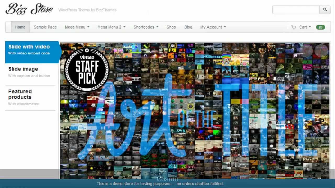 Bizzstore Overview Youtube