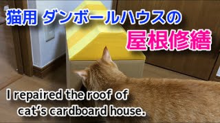 手作り猫用ダンボールハウス 屋根の修繕  I repaired the roof of cat’s cardboard house.