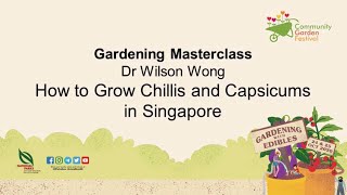 Gardening Masterclass: How To Grow Chillis And Capsicums | Community Garden Festival 2020