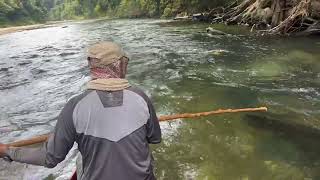 jeram perahu sepia|casting|bottom|eat🤞🏻