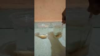 Water VS Eno+Biscuit||Science Experiment #shorts#viral #experimentking