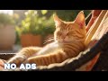 12 Hours Cat Healing Music 🐈 Soothing Sounds for Deep Relaxation And Sleep With Soothing Piano Sound