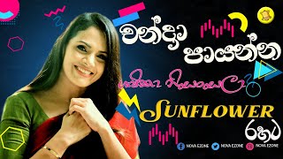 ශෂිකා නිසංසලා සන්ෆ්ලවර් සමග | Shashika Nisansala With Sunflower | Chandra Payanna  (චන්ද්‍රා පායන්න)