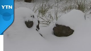 제주 산간 나흘째 눈...항공기·여객선 정상 운항 / YTN