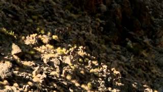 BBC documentary 2014 Pure Nature Specials Death Valley Nature Documentary