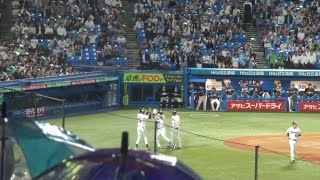 東京ヤクルトスワローズ 6回裏に一挙5点の猛攻で逆転　サンタナの2点タイムリーヒット、オスナの3ランホームランなど　ヤクルト vs 西武　2024年6月5日(水)　神宮球場