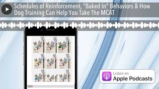 Schedules of Reinforcement, “Baked In” Behaviors & How Dog Training Can Help You Take The MCAT