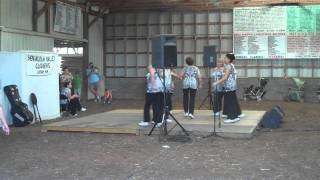 Page Co VA Heritage Festival 2011 Shenandoah Valley Cloggers