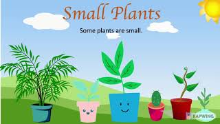 | Plants around us | Types of plants | plants for kids | different type of plants | class 1 |lesson