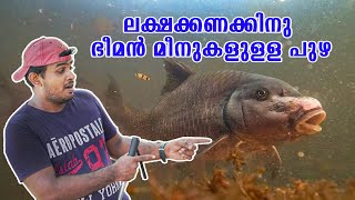 ലക്ഷക്കണക്കിന് ഭീമൻ മീനുകളുള്ള പുഴ 🐟🐟🐟 Kulathupuzha Temple Fish