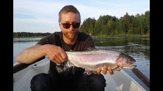 Toutaimen ja kirjolohen kalastusta / Fishing for asp and rainbow trout