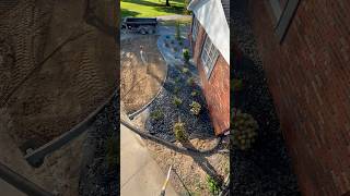 Planting A New Landscape