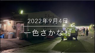 【必見】朝市は1000円あれば十分⁉︎『一色さかな村』激安鮮魚を選ぶコツ