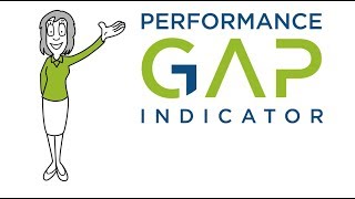 Performance Gap Indicator, the Company Wide Performance Assessment Tool