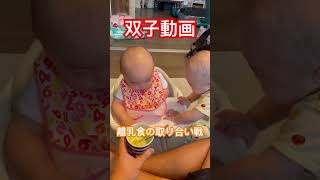 [双子動画]超激ウマ！双子が美味しい離乳食を取り合う#離乳食 #双子 #かわいい #shorts