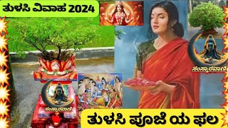 TULASI \u0026 SALIGRAMA VIVAHA -24. 🌹ತುಳಸಿ ಸಾಲಿಗ್ರಾಮ ವಿವಾಹ -24🌺