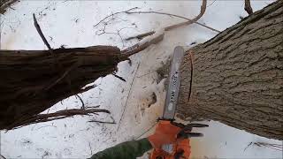 Cutting Beautiful Timber