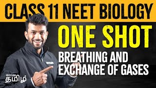 Breathing and Exchange of Gases - Class 11 Biology - ONE SHOT | Xylem NEET Tamil