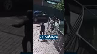 Сбежавшая обезьяна набросилась на ребенка