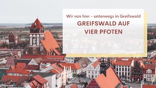 Greifswald auf vier Pfoten l Wir von hier - unterwegs in Greifswald