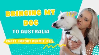 EXPORTING MY DOG FROM CANADA TO AUSTRALIA | RNATT, IMPORT PERMIT, PEQ TIMELINES