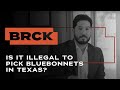 Is It Illegal To Pick Bluebonnets In Texas? | BRCK Criminal Defense Attorneys