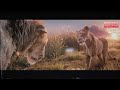 mufasa el rey león 2024 resumen en minutos