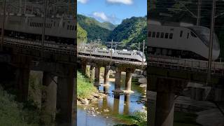 黑面琵鷺慢吞吞地通過鐵橋（472次員林-台東） #鐵道旅行