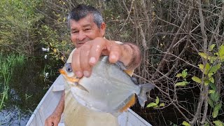 UMA INCRÍVEL PESCARIA NO LAGO DO UBIM NO AMAZONAS,  FIZEMOS UMA CALDEIRADA