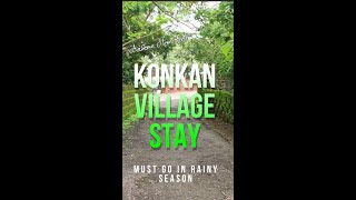 Konkan village experience #shorts #travel