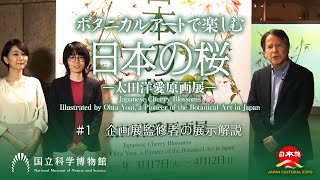 ＃1　2020年　国立科学博物館 企画展「ボタニカルアートで楽しむ日本の桜　ー太田洋愛原画展ー」（開催延期）