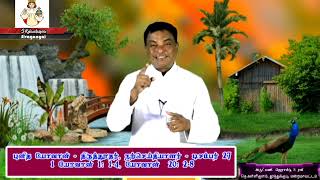 நற்செய்தியாளரான திருத்தூதர் யோவான் திருவிழா மறையுரை  (27.12.2022)