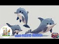 ABC Wild Animals song | Learn Alphabets | English and Animals for Kids | Alphabets Kids Song