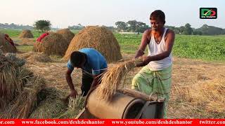 গ্রাম বাংলার কৃষকদের ধান সংগ্রহ পদ্ধতি