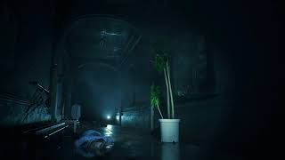[Live Wallpaper] Resident Evil 2 Remake [4K]