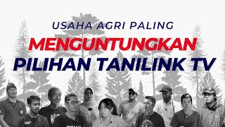 Usaha Pertanian dan Peternakan Paling Menguntungkan Pilihan Tanilink TV