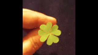 My 4 Leaf Clover Magic