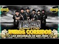 los originales de san juan🤠🔥 ~ 20 grandes exitos canciones🔥~ puros corridos album completo 2024 051