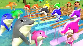 Colors for Children to Learn with Dolphins Jumping out of Water 3D Kids Toddler Babies Learn Colors