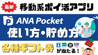 【オススメ移動系ポイ活アプリ】ANA Pocketの使い方と貯め方＜トリマの次はこれ＞