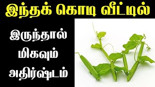 இந்தக் கொடி வீட்டில் இருந்தால் மிகவும் அதிர்ஷ்டம்| indian astrology predictions | T Tamil Technology