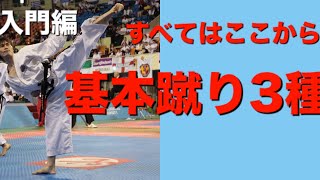 すべてはここから【入門編】基本蹴り３種