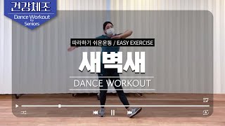 Dance Workout For Seniors / K-POP #fitness #seniorsexercise