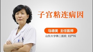 子宫粘连病因 有来医生