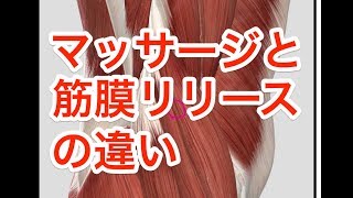 マッサージと筋膜リリースの違い　腰痛　ストレッチ　　Difference between massage and fascia release