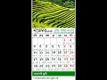 calendar of 2024 ২০২৪ সালের ক্যালেন্ডার