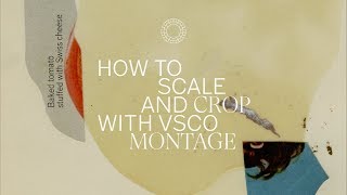 How to Scale and Crop With VSCO Montage