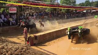 Adve nandikooru kambala semi \u0026 final race 2020