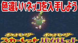 【ポケモンSV】色違いハネッコを入手しよう【ポケットモンスター スカーレット・バイオレット】Pocket Monsters