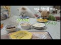 댕댕이 피자만들기🍕 애견 수제간식 강아지 피자먹방🐶 puppy making pizza dogs mukbang💗